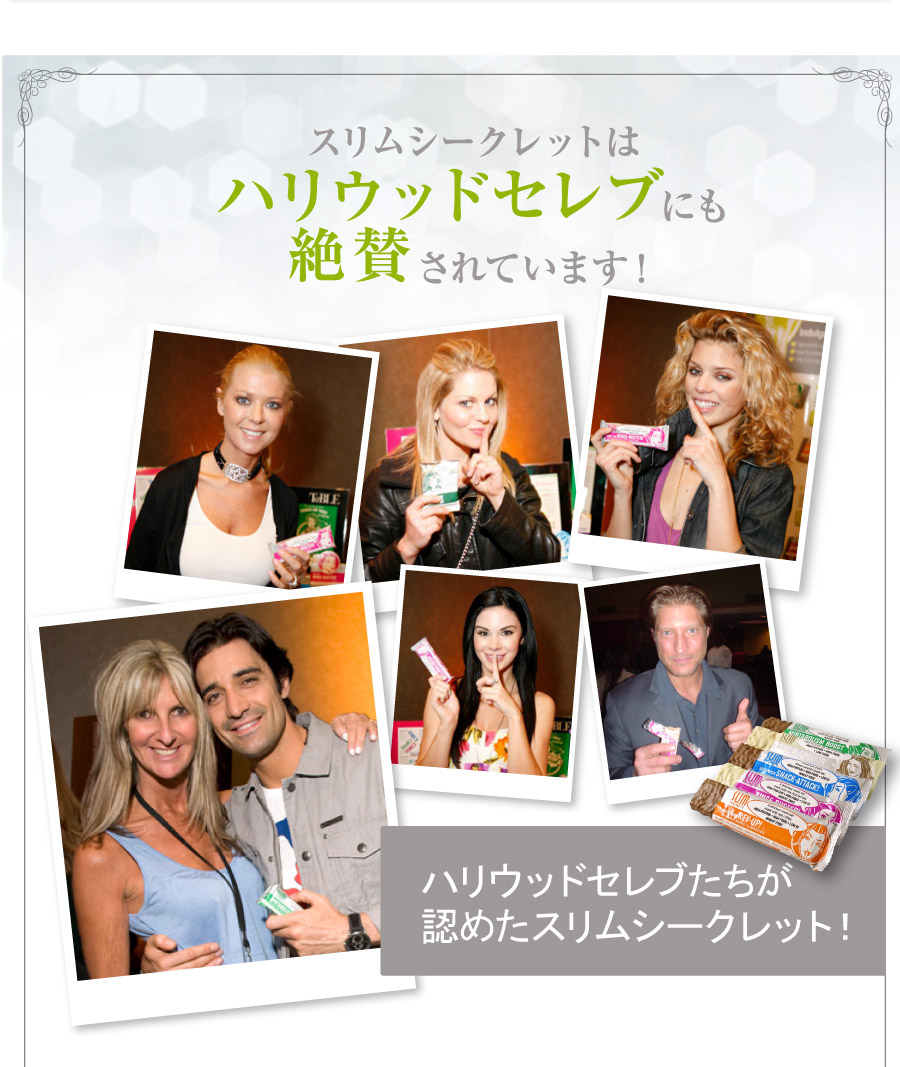 ダイエット食品　スリムシークレット　プロテインダイエット